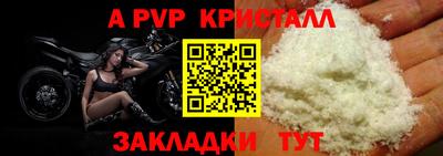 стаф Сланцы