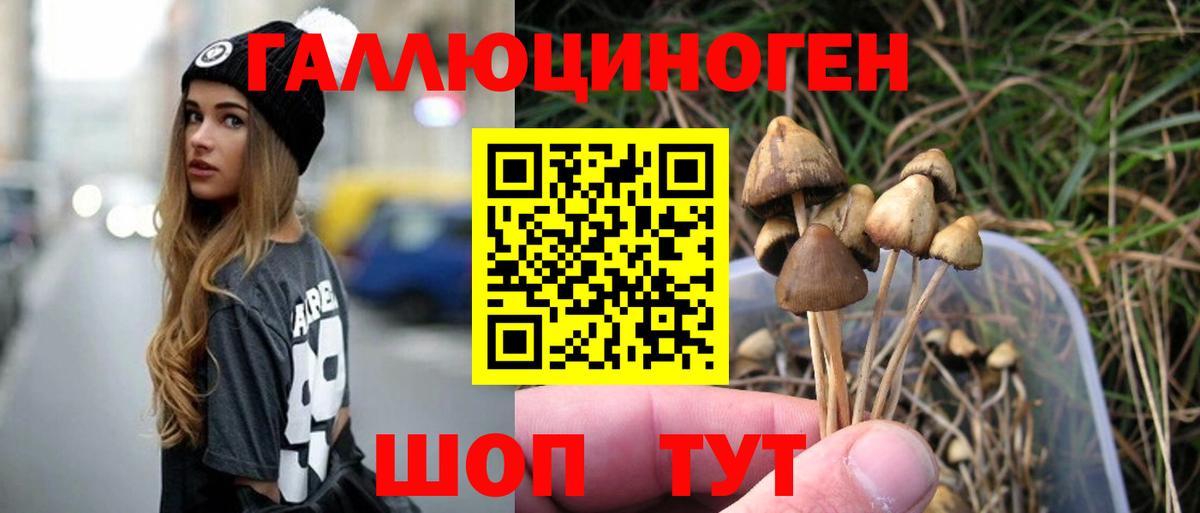 Нефтеюганск  Псилоцибиновые грибы GOLDEN TEACHER  Вход с VPN 